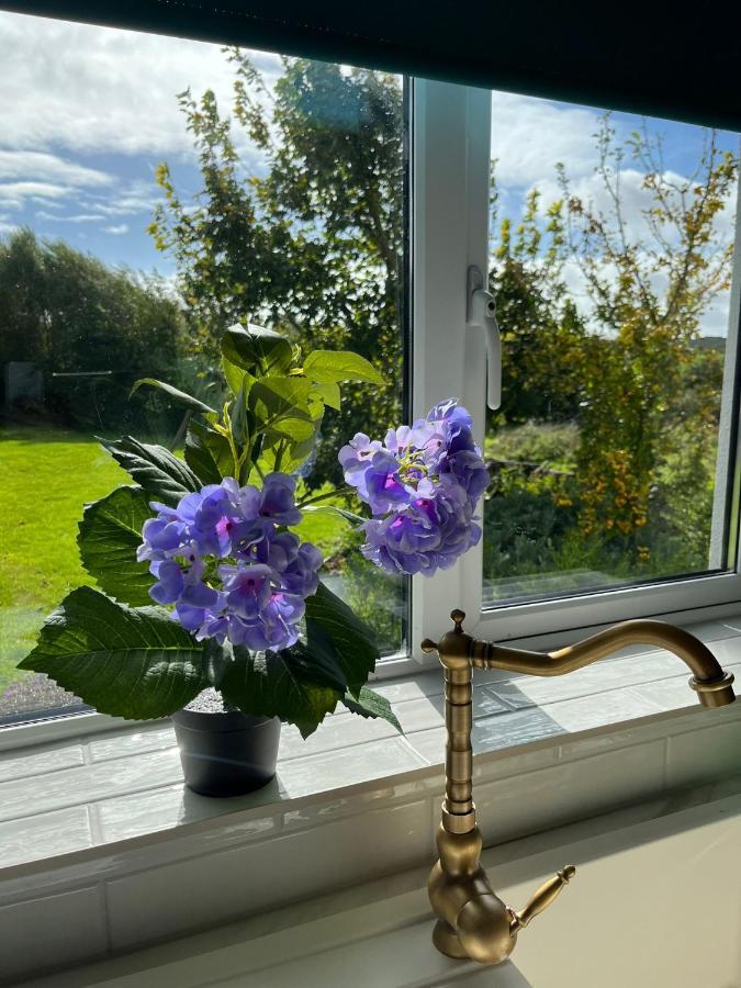 Butterfly Guesthouse - Entire Home Within 5Km Of Galway City Exterior foto