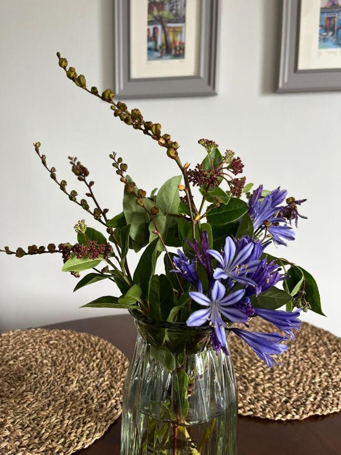 Butterfly Guesthouse - Entire Home Within 5Km Of Galway City Exterior foto