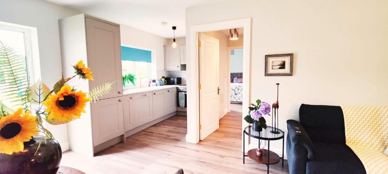Butterfly Guesthouse - Entire Home Within 5Km Of Galway City Exterior foto